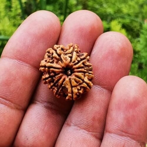11 मुखी रुद्राक्ष – भगवान हनुमान का आशीर्वाद, अजेय शक्ति और आत्मविश्वास का प्रतीक