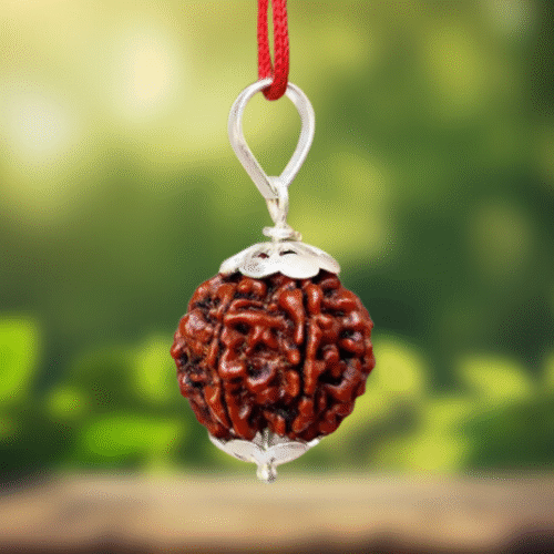 7 mukhi rudraksha(मुखी रुद्राक्ष)