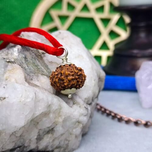 9 मुखी रुद्राक्ष – शक्ति, साहस और आत्मविश्वास का प्रतीक