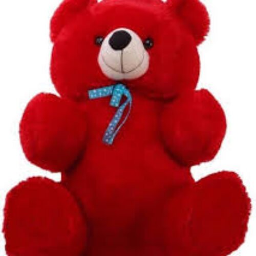 teddy