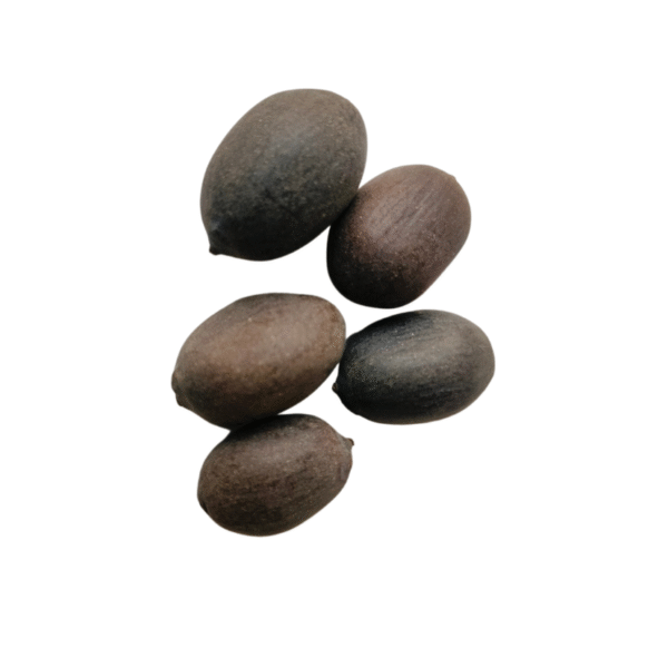 5 पीस शुद्ध कमलगट्टा (Kamal Gatta/Lotus Seeds - 5 Pcs) - Image 2